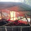 Tindak Tegas Perjudian Polres Mojokerto Bongkar Arena Sabung Ayam