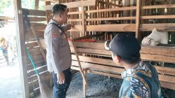 Img 20250516 Wa0223