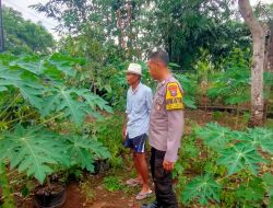 Bhabinkamtibmas Polsek Ngetos Dukung Ketahanan Pangan Lewat Pemanfaatan Lahan Pekarangan