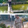 Polsek Pace Dukung Ketahanan Pangan Lewat Budidaya Lele dan Tanaman Cabai di Pekarangan Warga