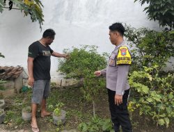 Optimalkan Pekarangan, Polsek Prambon Dukung Ketahanan Pangan Warga
