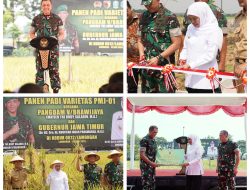 Pangdam V/Brawijaya Pimpin Panen Raya dan Tinjau Inovasi Pertanian Terpadu di Lamongan