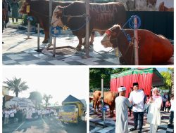 Polda Jatim Salurkan Ratusan Hewan Kurban di Hari Raya Idul Adha 1446 H