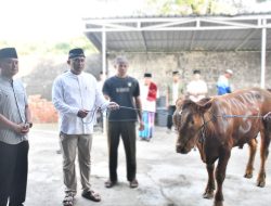 Berkurban Momentum Tingkatkan Kepedulian Sosial