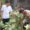 Polsek Pace Dukung Ketahanan Pangan Lewat Pemanfaatan Lahan Pekarangan