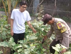 Polsek Pace Dukung Ketahanan Pangan Lewat Pemanfaatan Lahan Pekarangan