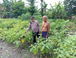 Wujudkan Kemandirian Pangan, Polsek Patianrowo Dampingi Warga Kelola Pekarangan