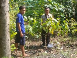 Img 20250620 Wa1053