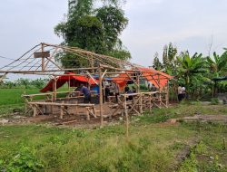 Polsek Sukomoro Bongkar Arena Judi Sabung Ayam dan Dadu di Timur Punden Sukomoro