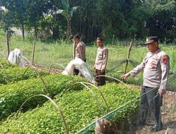 Polres Nganjuk Dukung Ketahanan Pangan Lewat Pemanfaatan Lahan Pekarangan di Desa Sonopatik