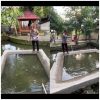 Polsek Gondang Sulap Lahan Kosong Jadi Kolam Lele dan Nila, Wujud Nyata Dukung Ketahanan Pangan