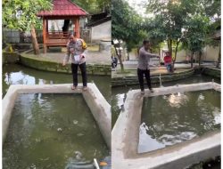 Polsek Gondang Sulap Lahan Kosong Jadi Kolam Lele dan Nila, Wujud Nyata Dukung Ketahanan Pangan