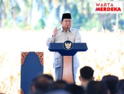 Presiden Prabowo Senang Panen Raya Jagung Inisiasi Polri Berhasil