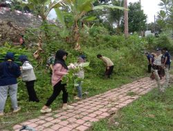 Img 20250704 Wa0183