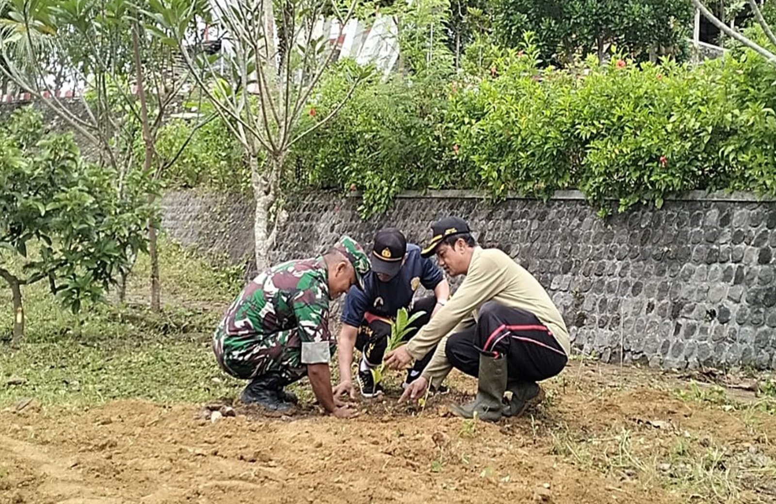 Img 20250704 Wa0186