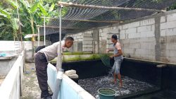 Img 20250712 Wa0126
