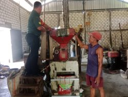 Pendampingan Hanpangan, Babinsa Cerme Membantu Penggilingan Gabah