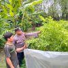 Bhabinkamtibmas Nglinggo Dukung Ketahanan Pangan Lewat Budidaya Cabai Merah