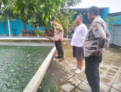 Budidaya Ikan Nila, Upaya Bhabinkamtibmas dan Warga Pehserut Dukung Ketahanan Pangan