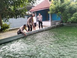 Img 20250724 Wa0157