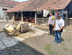 Img 20250725 Wa0077