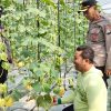 Budidaya Melon ala Green House Jadi Inspirasi, Kapolsek Warujayeng Beri Dukungan