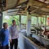 Bhabinkamtibmas Nglawak Pantau Peternakan Warga, Dukung Program Ketahanan Pangan