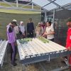 EMP Energi Gandewa Dorong Edukasi Pertanian Modern melalui Pelatihan Hidroponik Ramah Lingkungan di Rokan Hilir”