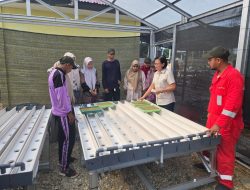 EMP Energi Gandewa Dorong Edukasi Pertanian Modern melalui Pelatihan Hidroponik Ramah Lingkungan di Rokan Hilir”