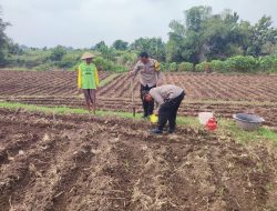 Bhabinkamtibmas Sukomoro Dukung Ketahanan Pangan, Kawal Pemanfaatan Lahan Pekarangan Warga