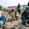 Tanggul Kuat – Cegah Banjir. Danramil Benjeng Turut Serta Tanam Rumput Vertiver di Sepanjang Sungai Lamong