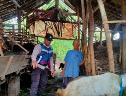 Manfaatkan Lahan Pekarangan, Warga Jatirejo Dibina Bhabinkamtibmas untuk Wujudkan Ketahanan Pangan