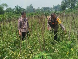 Img 20250804 Wa0105