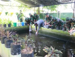 Kodim 0829/Bangkalan melaksanakan kegiatan budidaya ikan Nila Bersama Dinas Pertanian