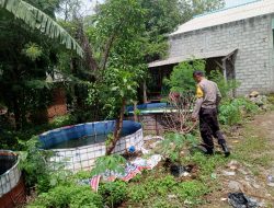 Bhabinkamtibmas Berbek Dorong Budidaya Lele dan Nila di Pekarangan Rumah