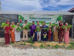 “EMP Gandewa Bersama Ibu-ibu Puskesmas Rantau Bais Panen Sayur Hidroponik Kelompok Tunas Gandewa”