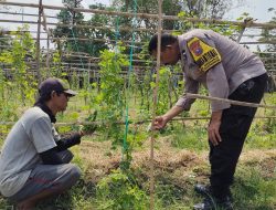 Pemanfaatan Lahan Pekarangan di Desa Sidoharjo Dukung Program Ketahanan Pangan