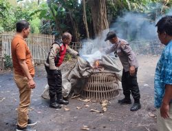 Tindaklanjuti Laporan Warga Polisi Bongkar Arena Sabung Ayam di Sidoarjo