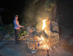 Polisi Bongkar Dua Lokasi Arena Judi Sabung Ayam di Malang