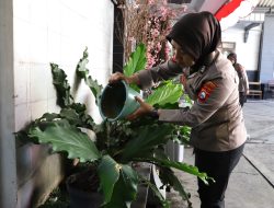 Img 20250821 Wa0066