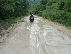 Bulan Merdeka, Jalan Lintas Dofa-Leko Kadai Kabupaten Kepulauan Sula, Butuh Perhatian Serius Pemerintah