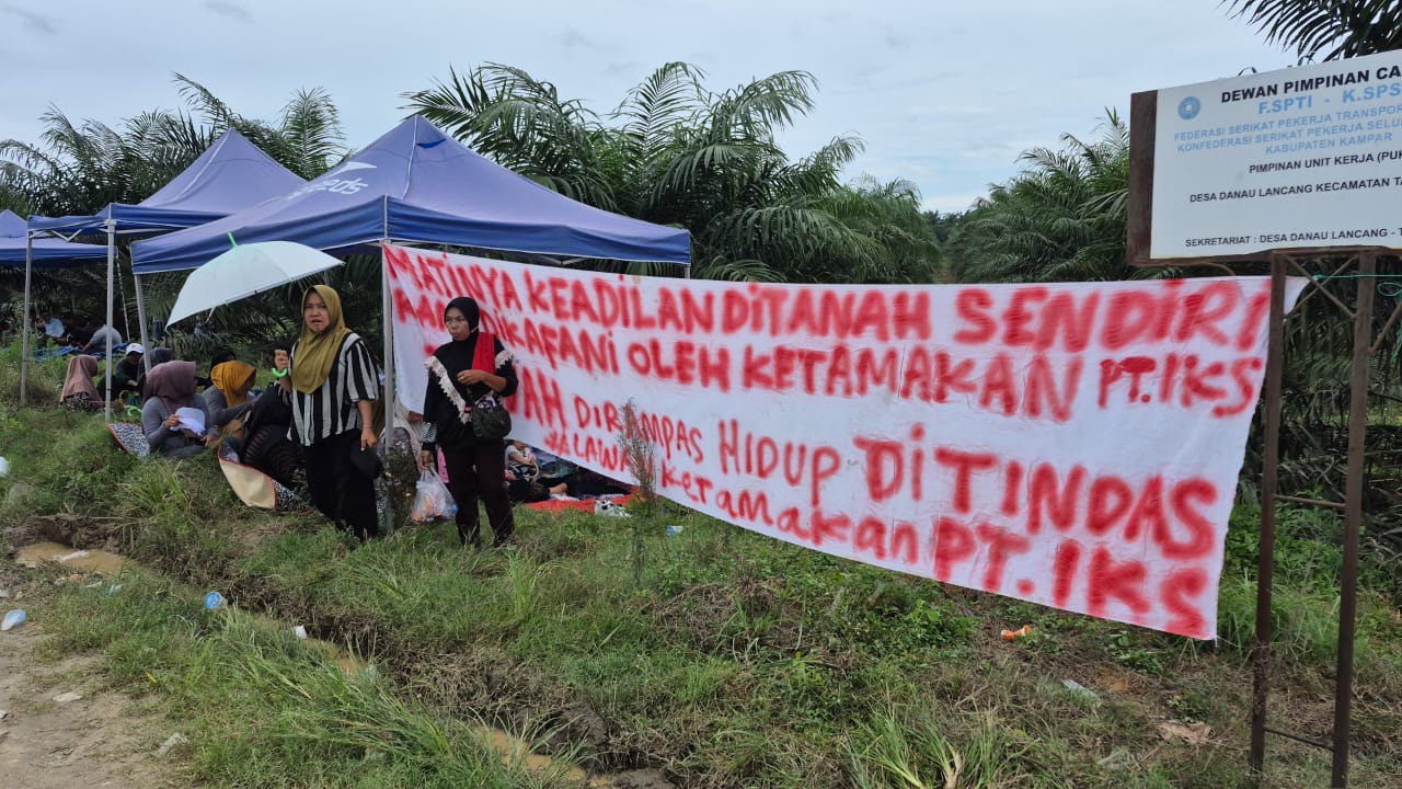 Img 20250911 Wa0149
