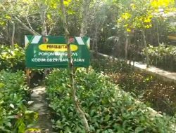 Img 20251010 Wa0235
