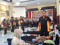 Img 20251011 Wa0008