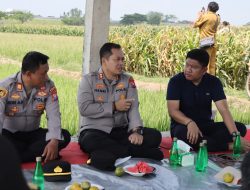 Img 20251014 Wa0132