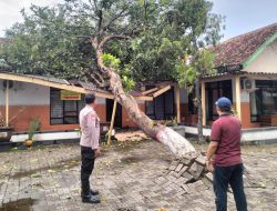 Gerak Cepat Polsek Warujayeng Tangani Dampak Angin Kencang di Tanjunganom