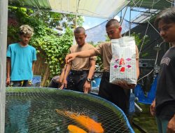 Pembelajaran Kolaboratif: Siswa Diktukba SPN Polda Jatim Tawarkan Solusi Digital untuk UMKM Koi Blitar*