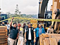 Picsart 25 11 02 17 54 48 586