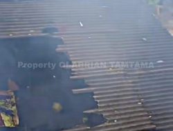 Picsart 25 11 23 10 36 11 370