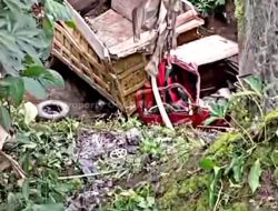 Picsart 25 11 27 18 52 42 435